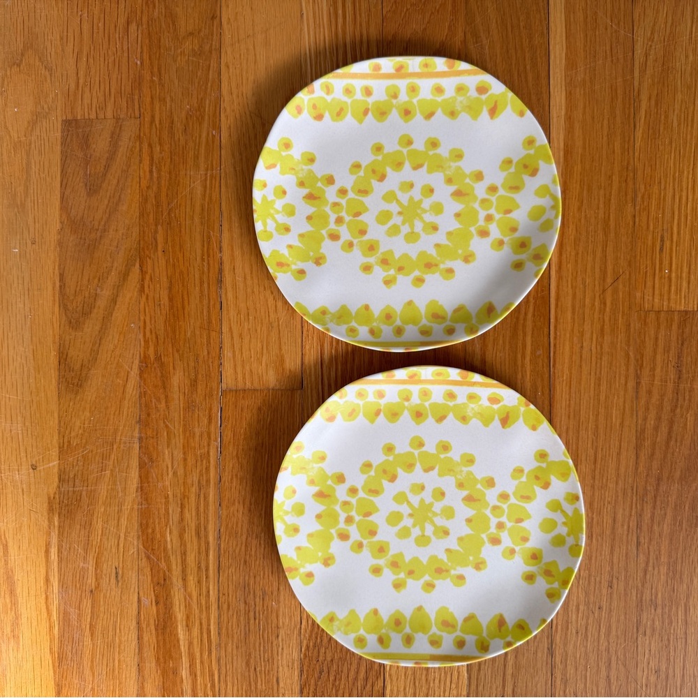 Set of 2 Anthropologie Plates